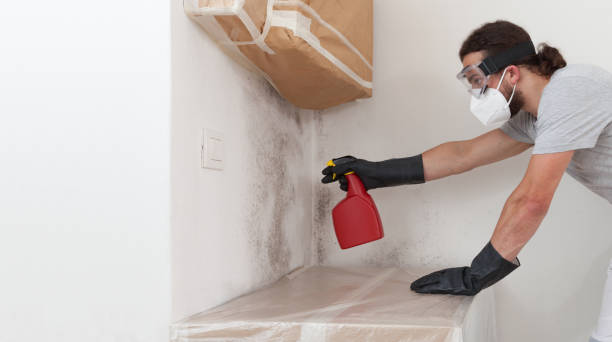 Professional Bathroom Mold Removal technician working in Honey Grove, PA
