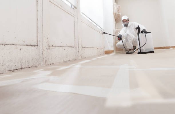 24/7 Emergency Bathroom Mold Removal experts in Honey Grove, PA