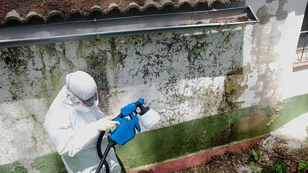 Top rated local Bathroom Mold Removal specialists in Honey Grove, PA